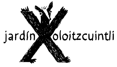 jardinxolo.com